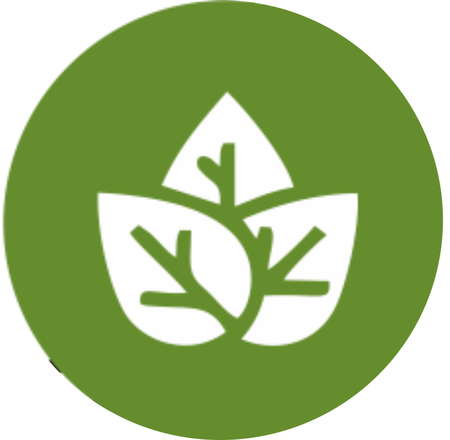 Work Package 1 Icon