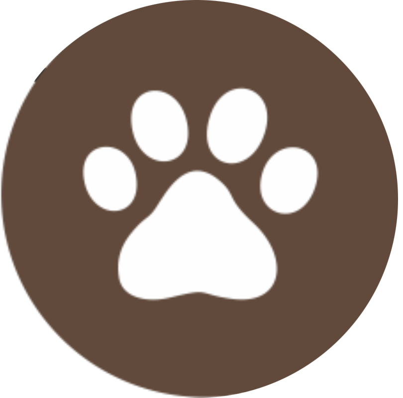 Work Package 2 Icon